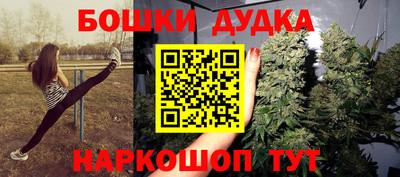 apvp Пугачёв