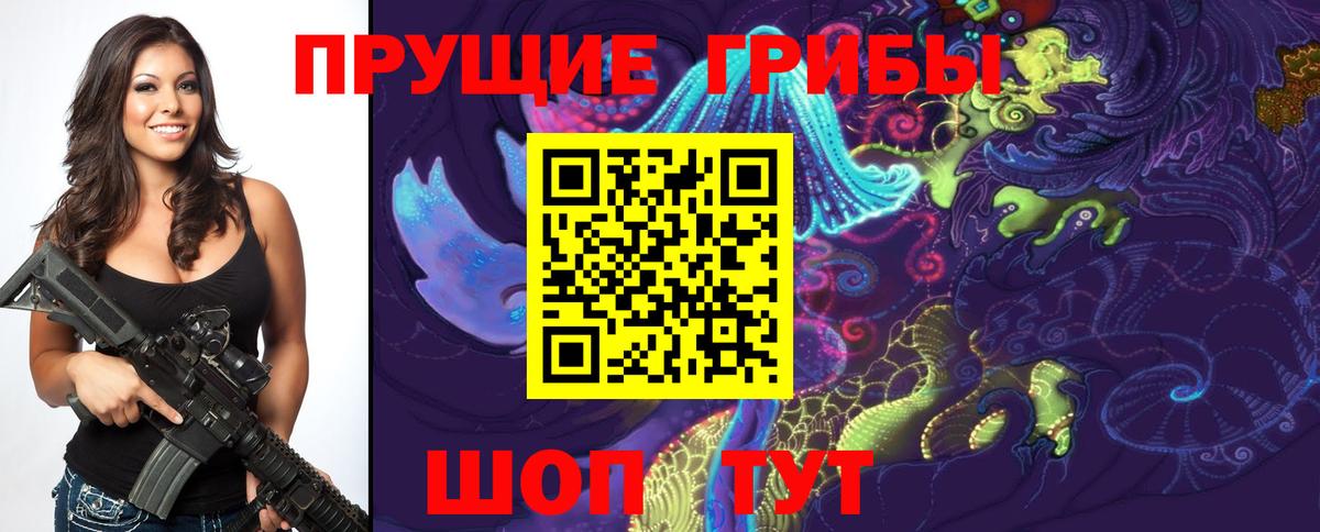 Псилоцибиновые грибы Psilocybe Павловский Посад